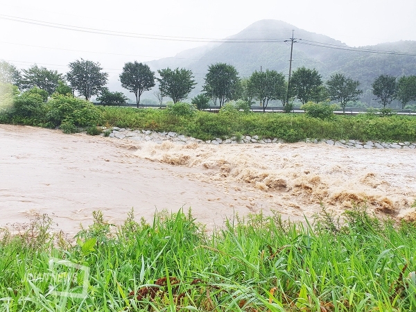 성수면 달길천에 폭우로 인해 물이 불어난 모습.